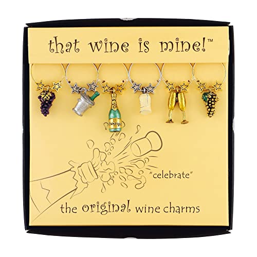 Multicolor Set of 6 Wine Charms E533