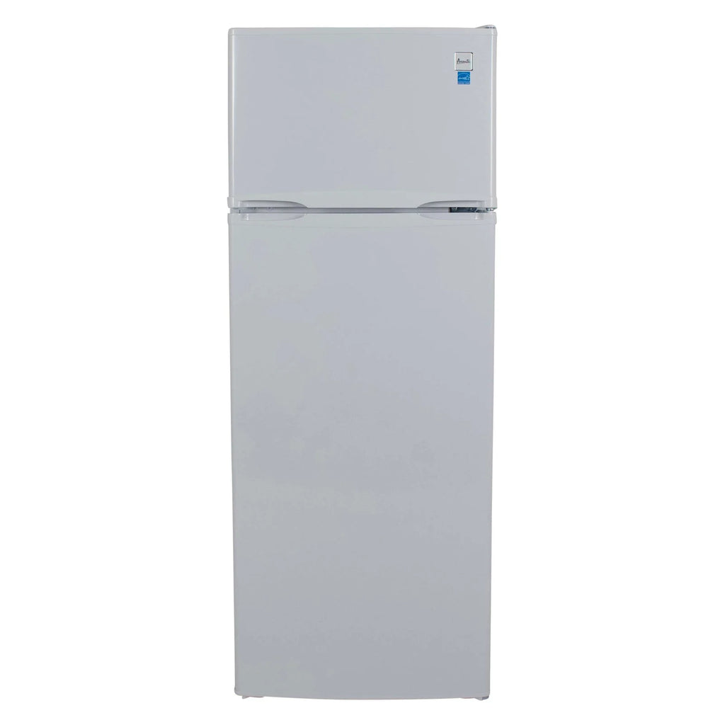 7.3 Cu. Ft. Stainless Steel Top Freezer Refrigerator R605