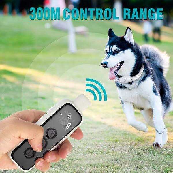 Anti-Bark Remote Dog Training Collar D7369