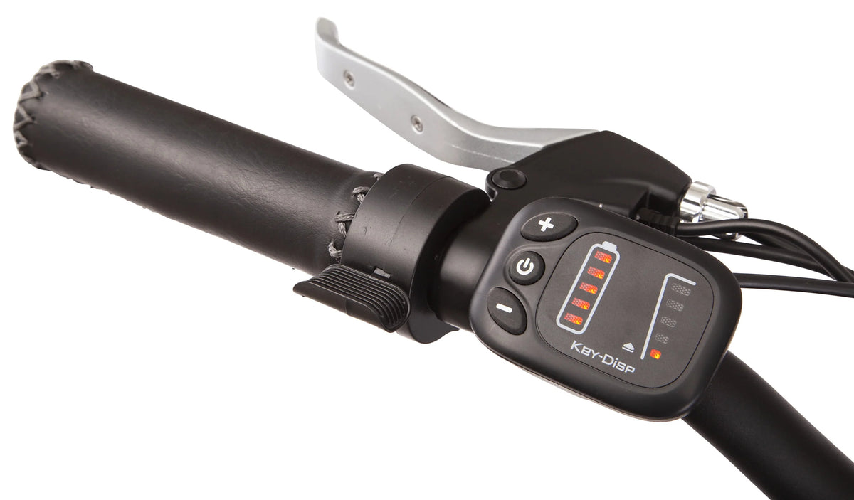 26-in. Low Step Cruiser Electric Bike 250w Motor E77172