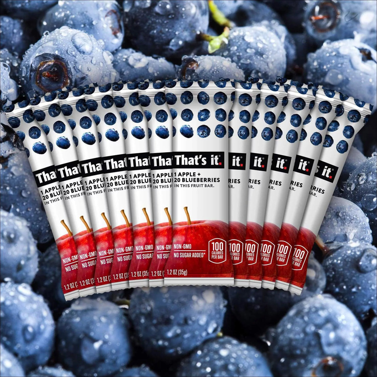 Apple Blueberry 100% Natural Fruit Bar 12 Pack B50142