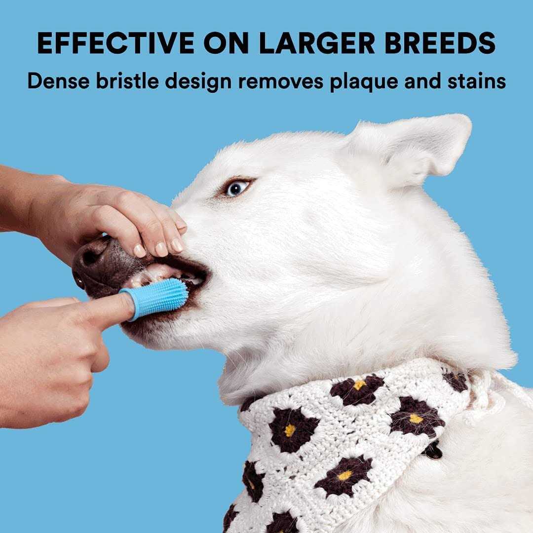 Dog Toothbrush Y254699