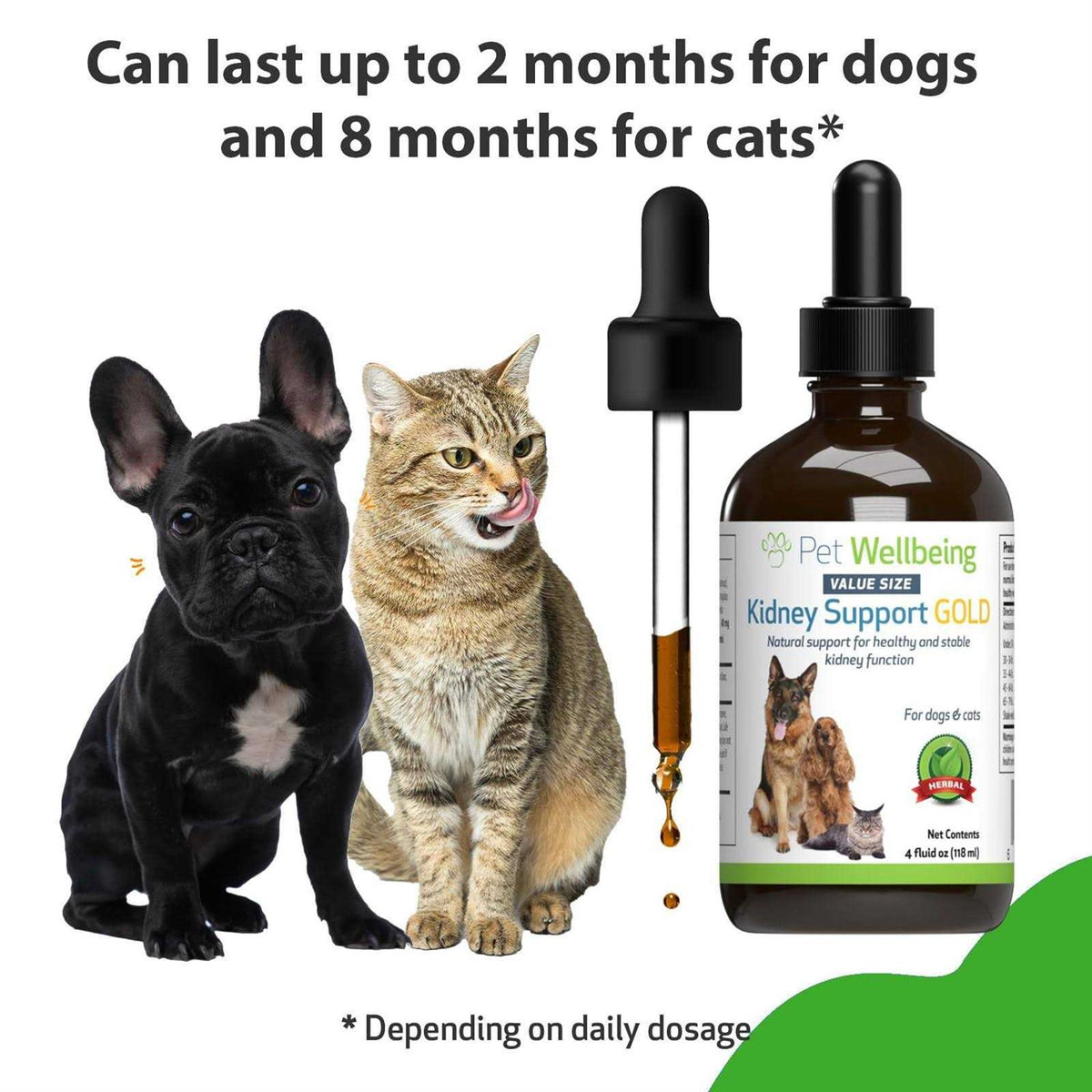 Kidney Support Gold for Dogs G4135