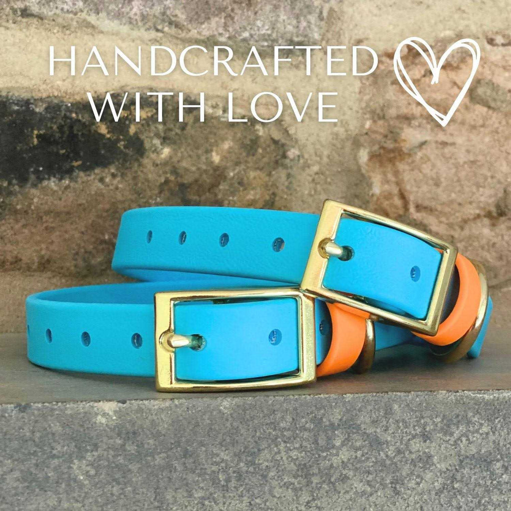 Waterproof & Odorless Dog Collar Y942000
