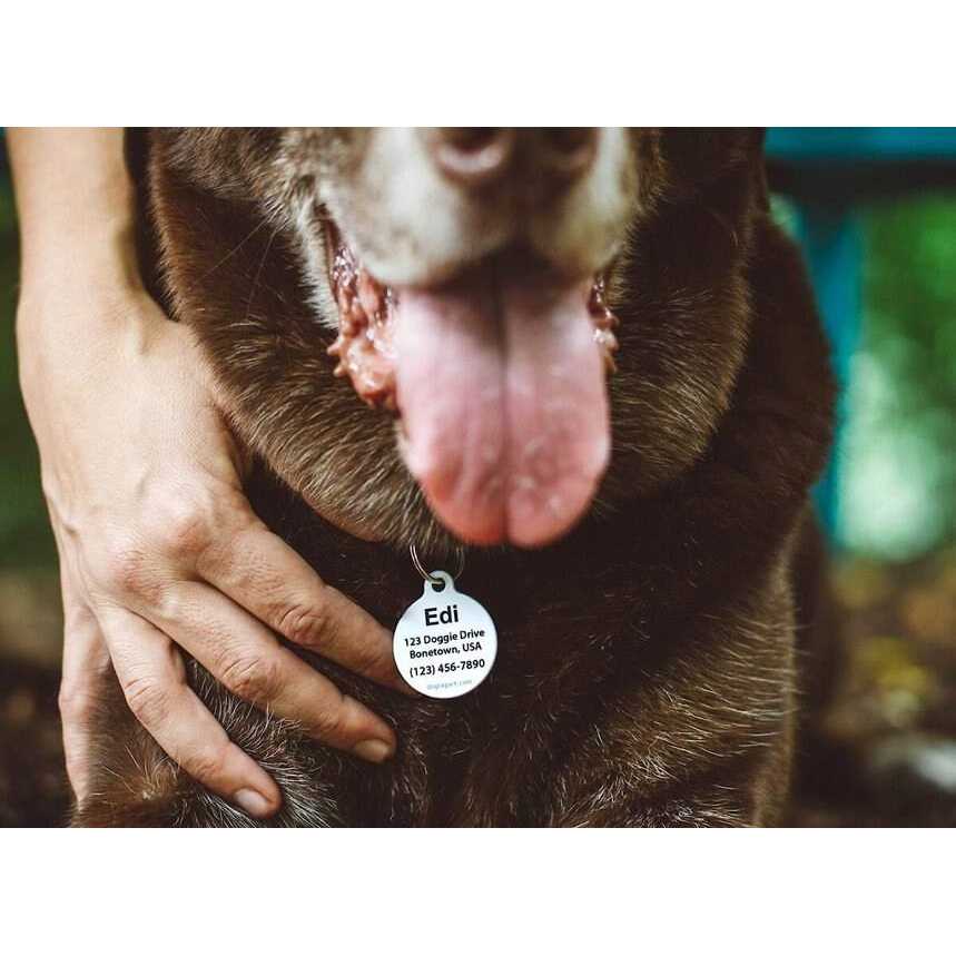 Microchip Alert Personalized Dog & Cat ID Tag E527398