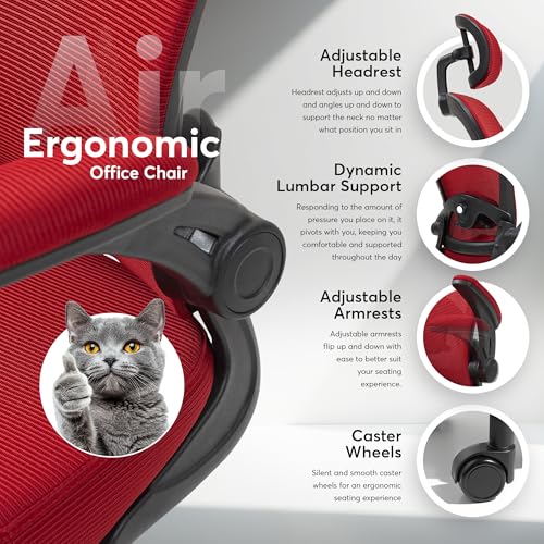 Black Ergonomic Mesh Office Chair G88662