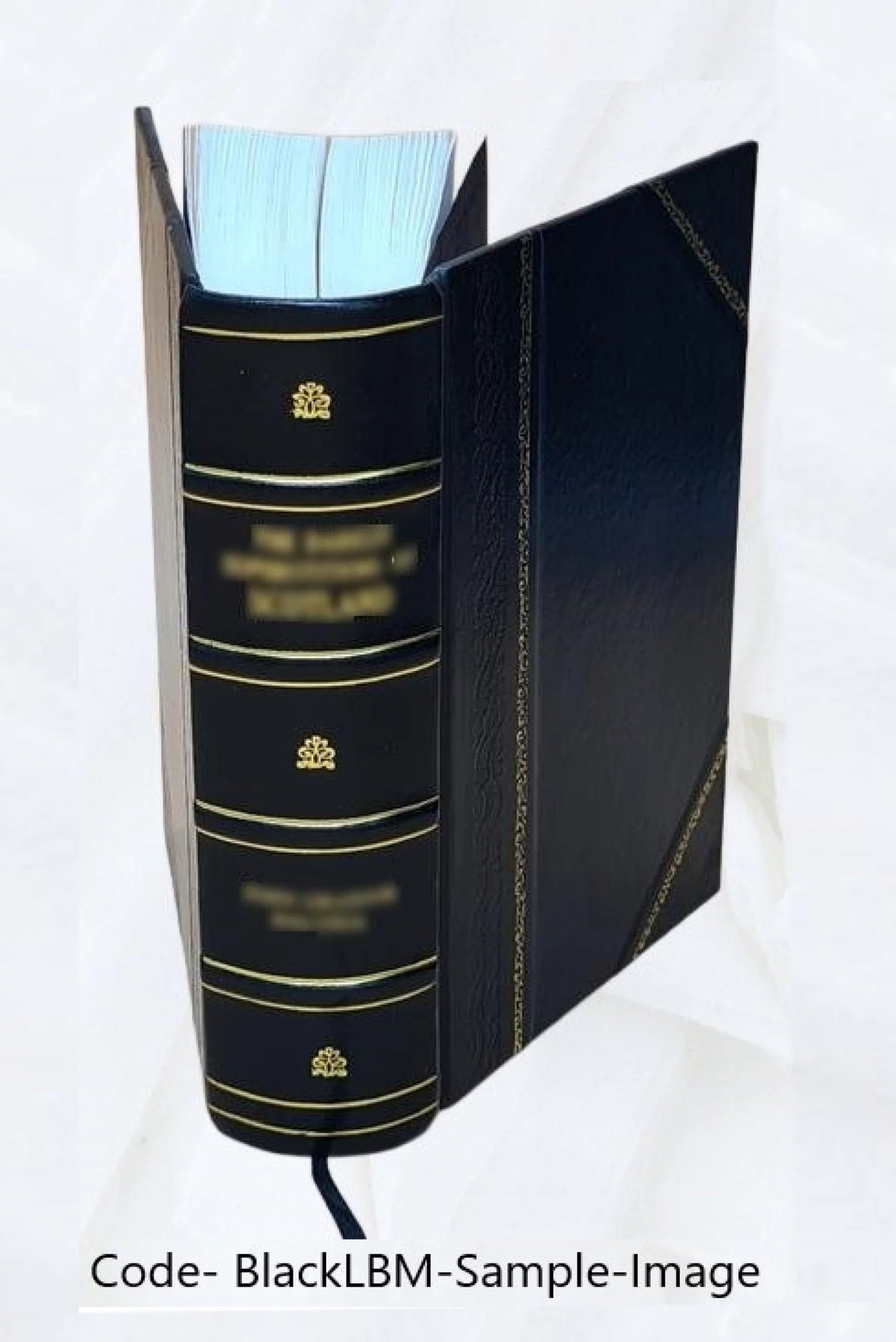 Leather Bound F3247