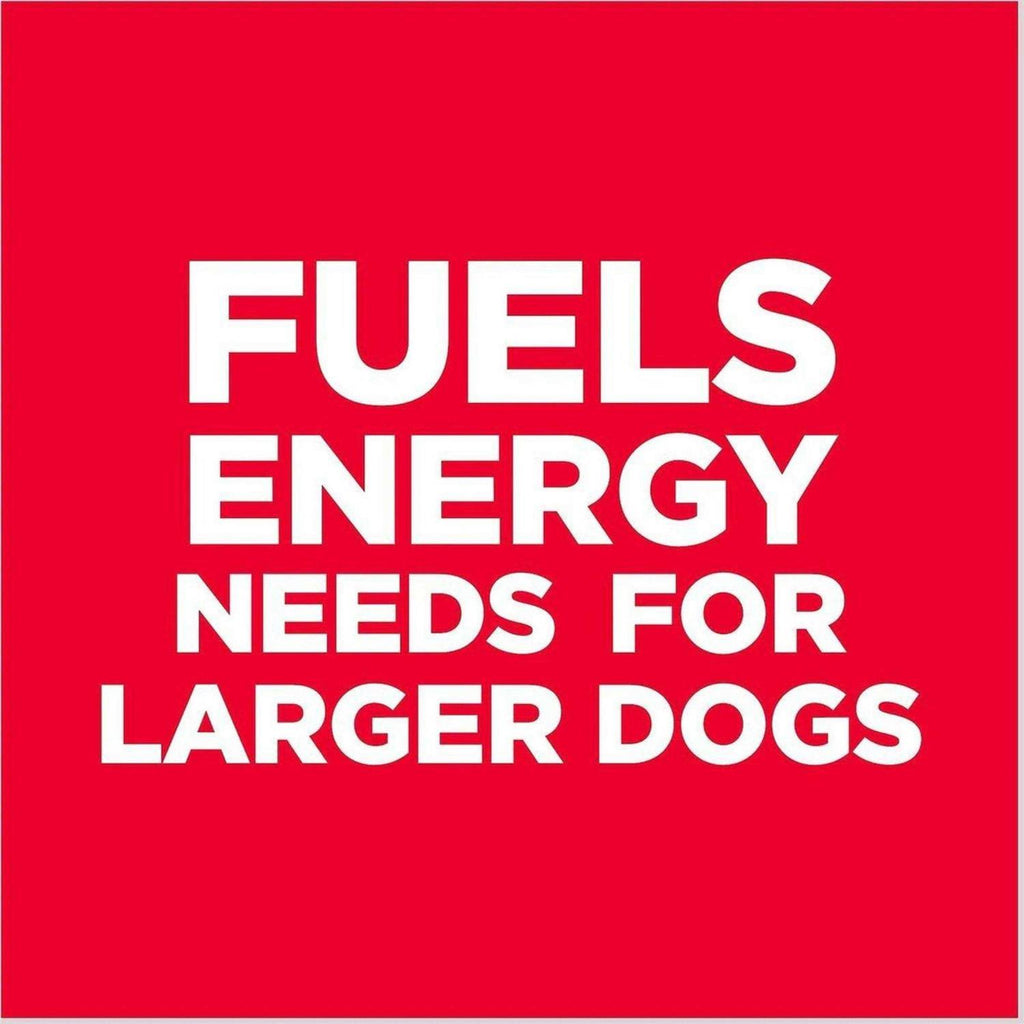 Adult 6+ Large Breed Chicken Meal Dry Dog Food N2570