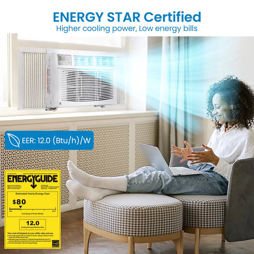 10000 BTU Smart Window Air Conditioner P172