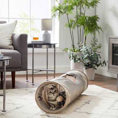 Cat Tunnel X210277