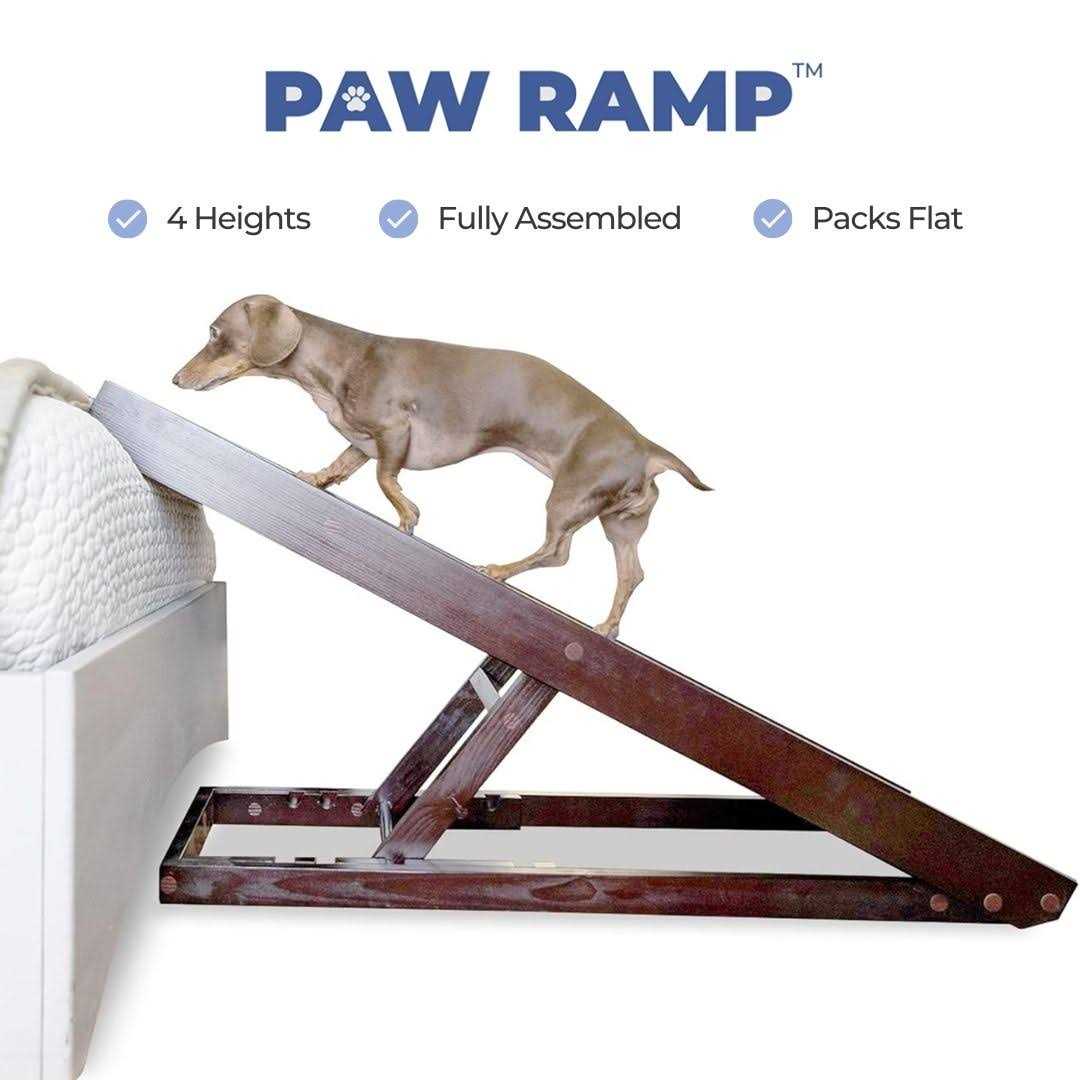 Dog Ramp I208847