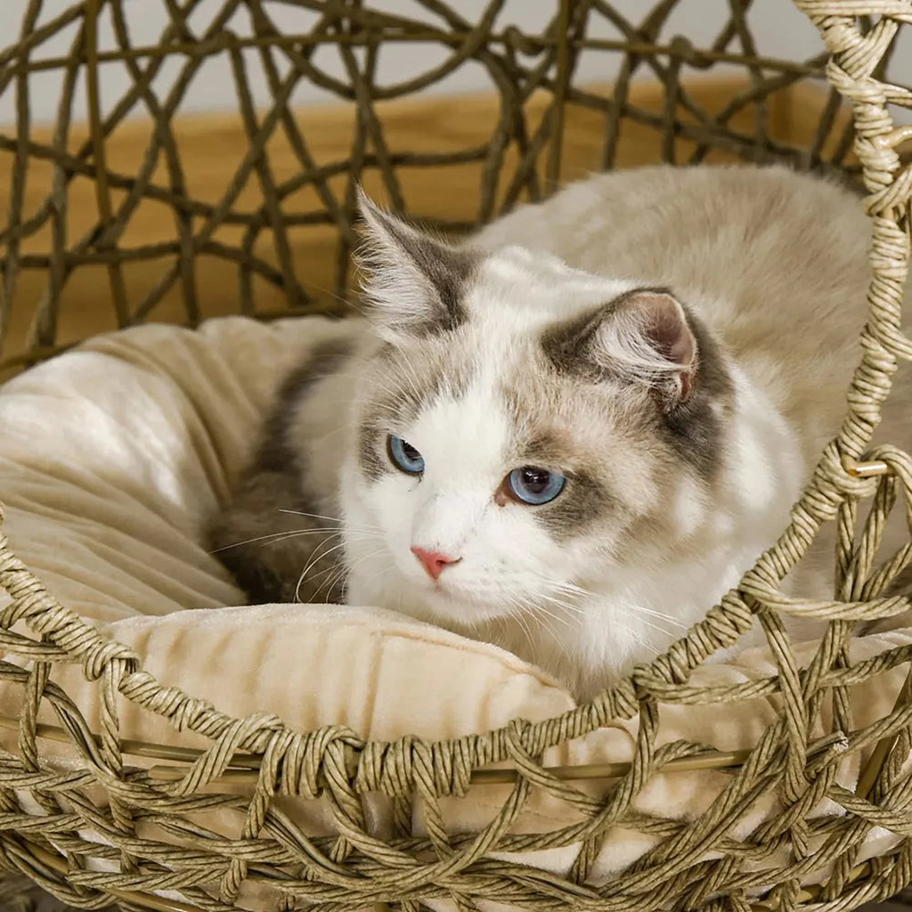 Rattan Elevated Cat Bed with Soft Cushion U606262