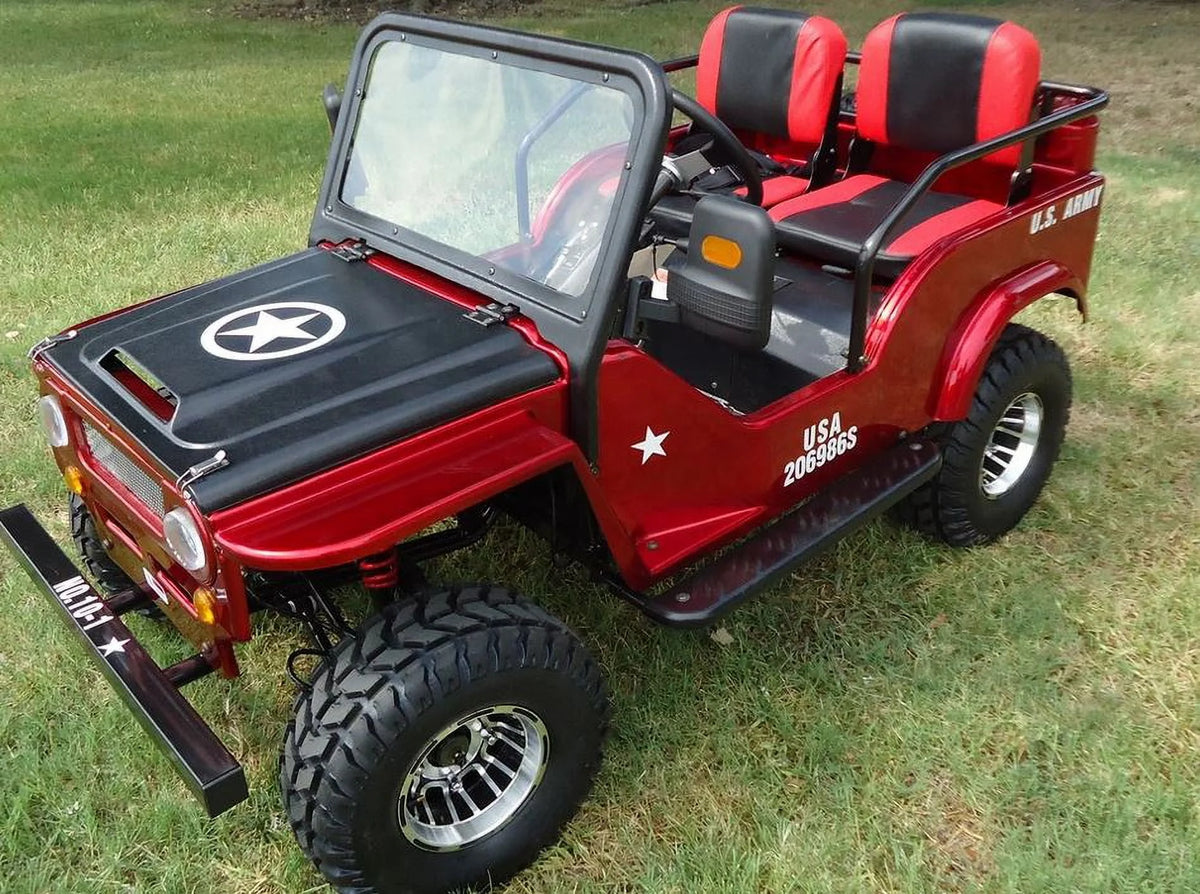 125CC Go-Kart with Reverse P2984