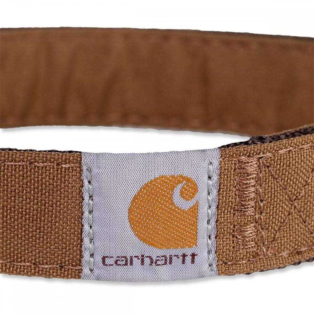 Nylon Dog Collar H23201