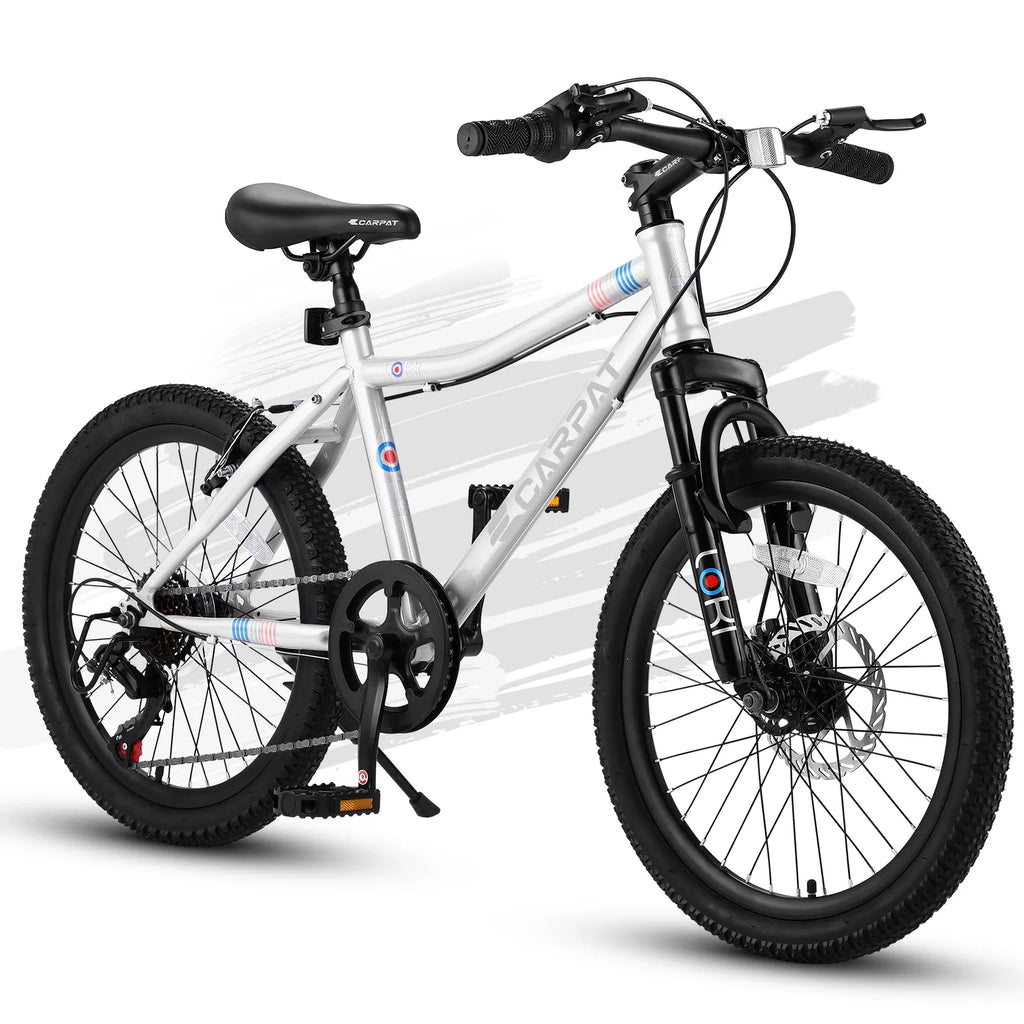 20 inch 7 Speed Kids Bicycle W91256