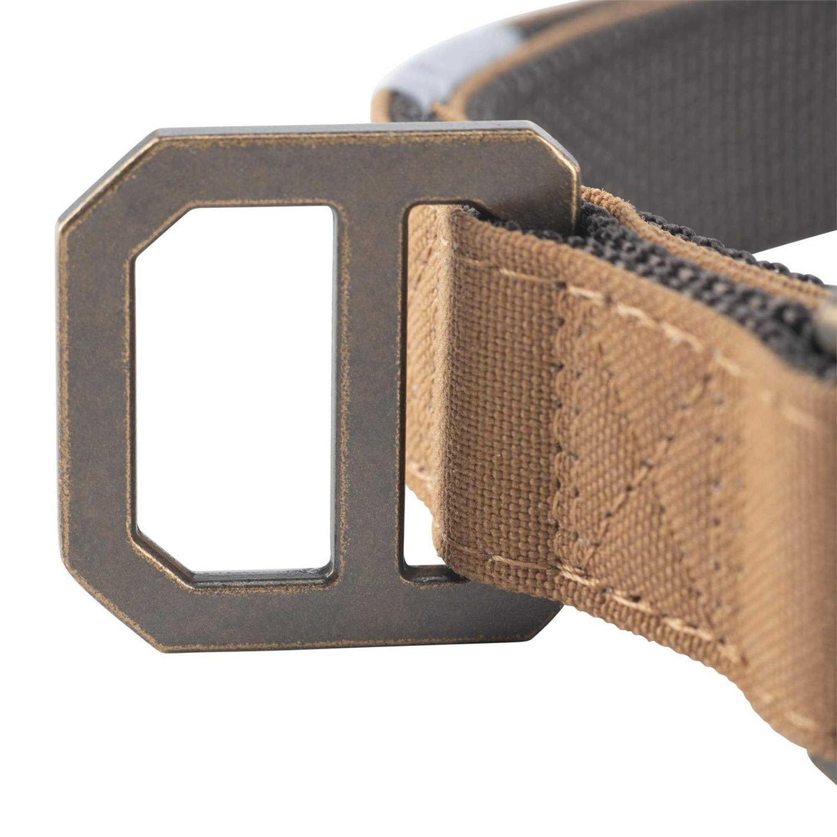 Nylon Dog Collar H23201