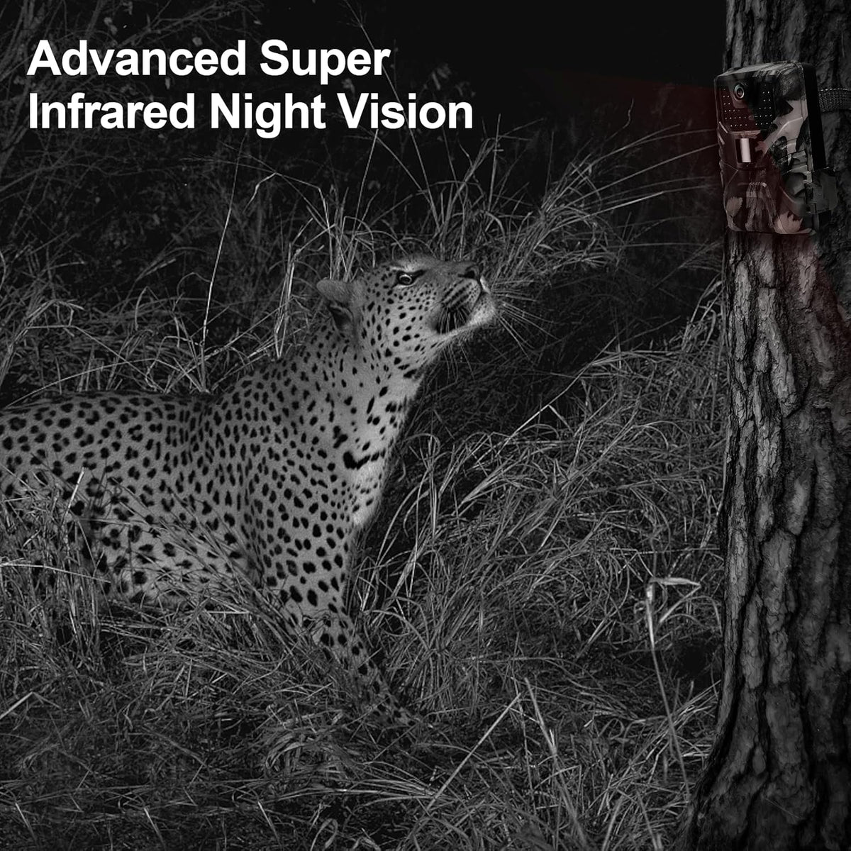 4K 30MP WiFi Trail Camera with No Glow Night Vision IP66 Waterproof M99161