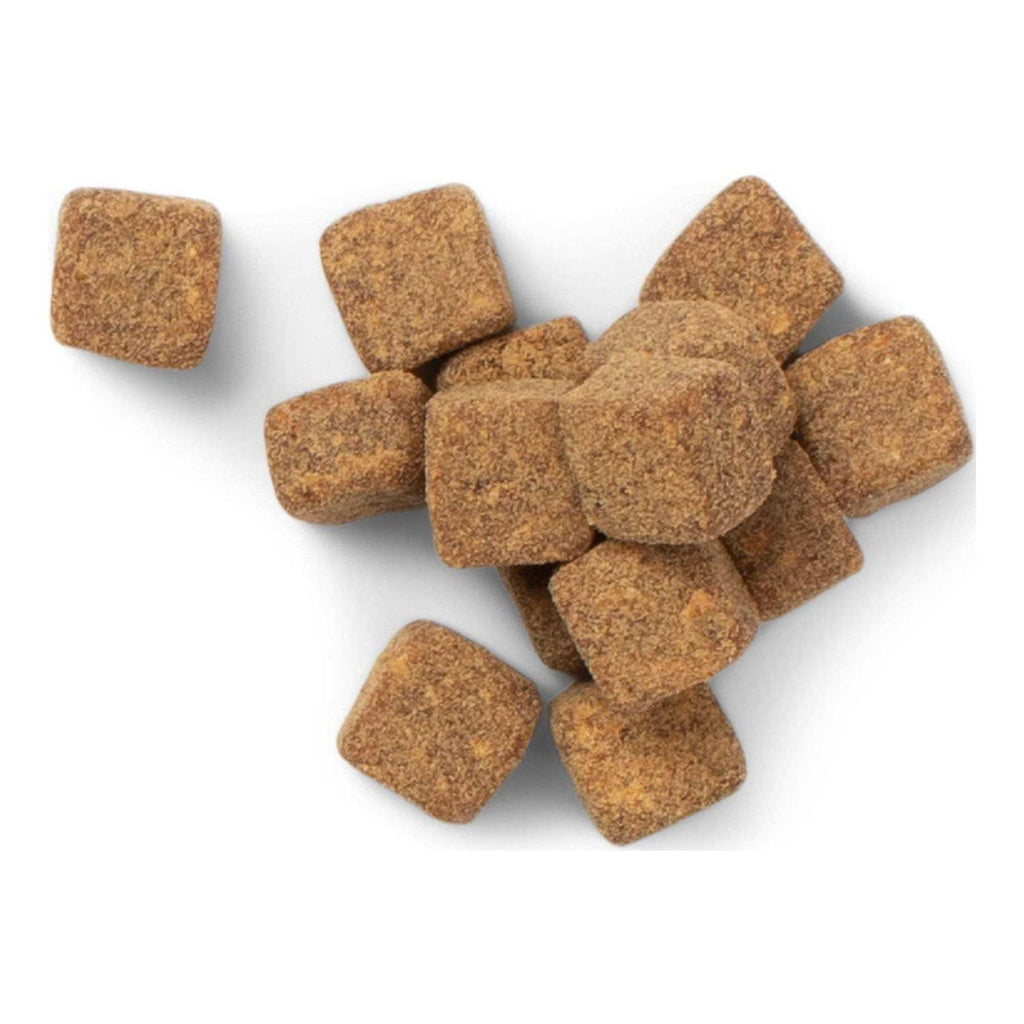 Multivitamin Dog Soft Chews B695