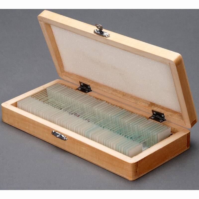 40X-1000X Student Microscope with ABS Case Z624295