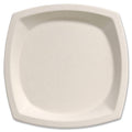 Ivory 10" Plates 125 pack Q417928