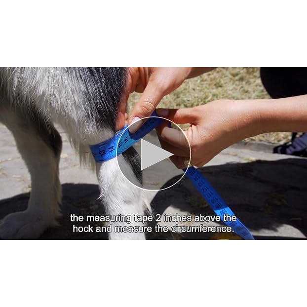 Dog Hock Brace Rear Leg Joint Wrap D461