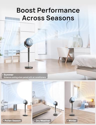 Home Goods C1195