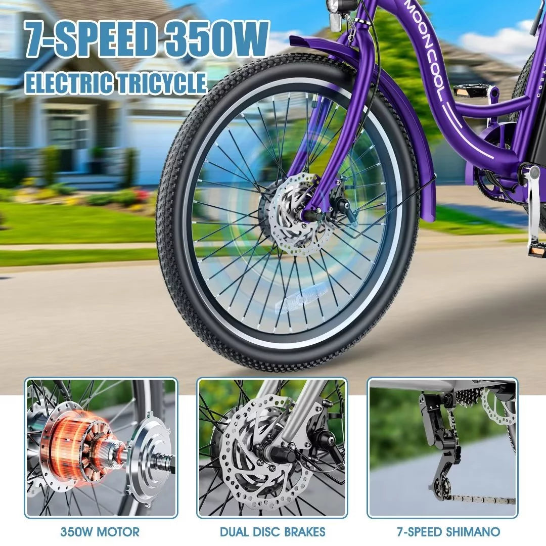 3 Wheel 500W Electric Trike B284017