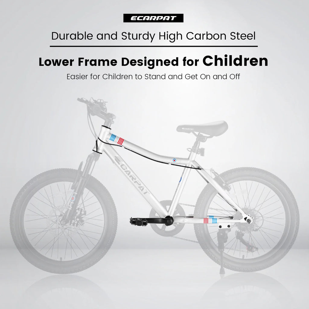 20 inch 7 Speed Kids Bicycle W91256