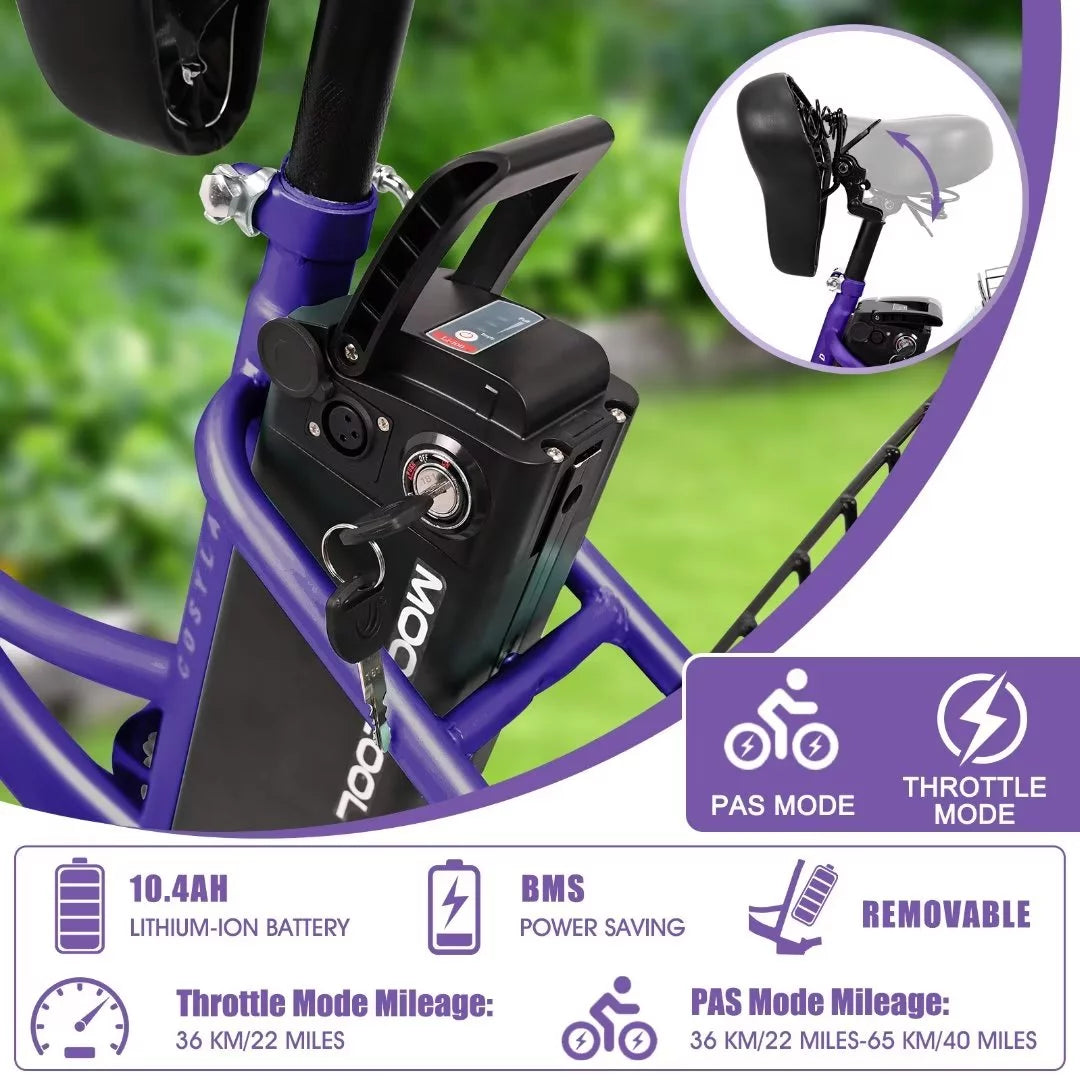 3 Wheel 500W Electric Trike B284017