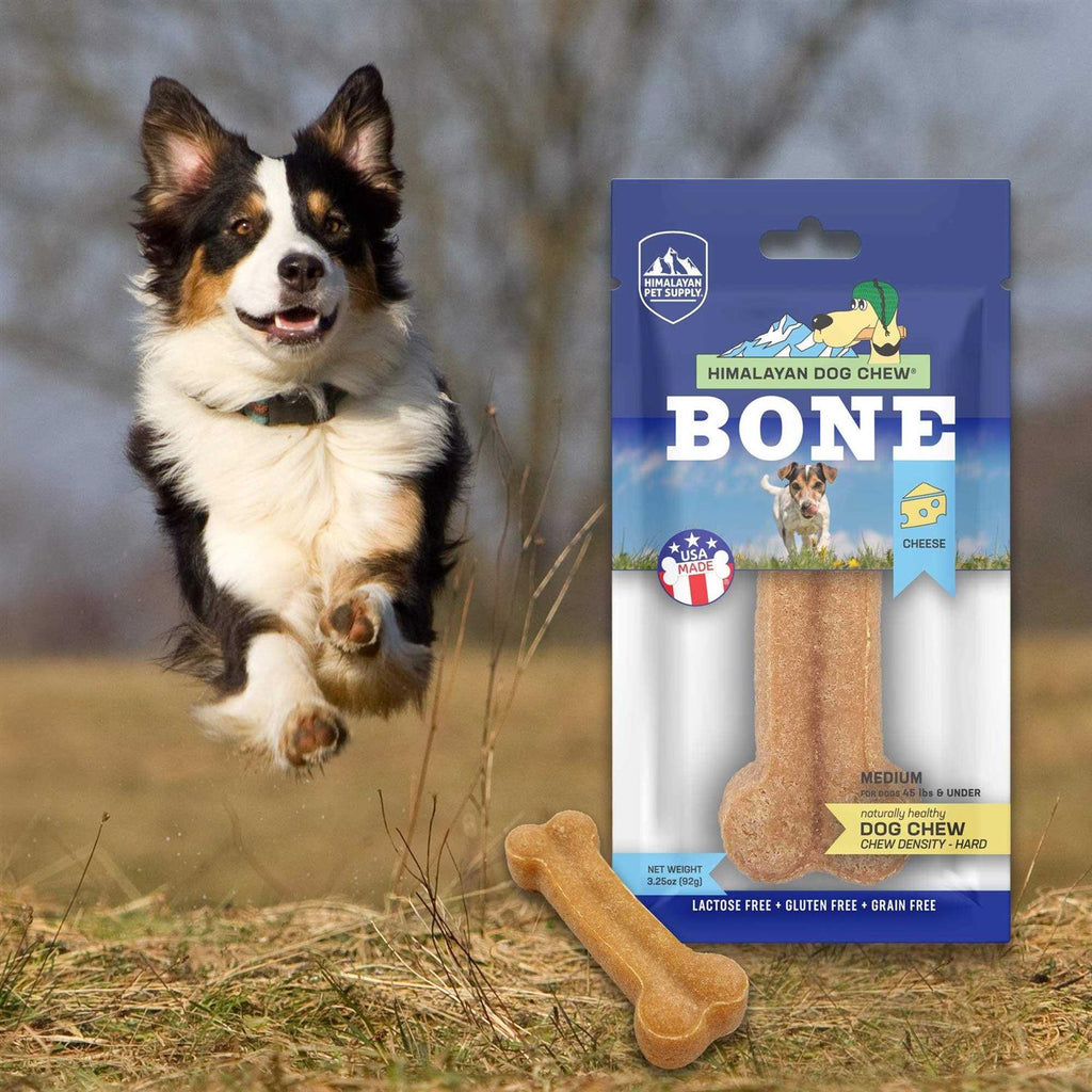 Dog Chew Bone J253712