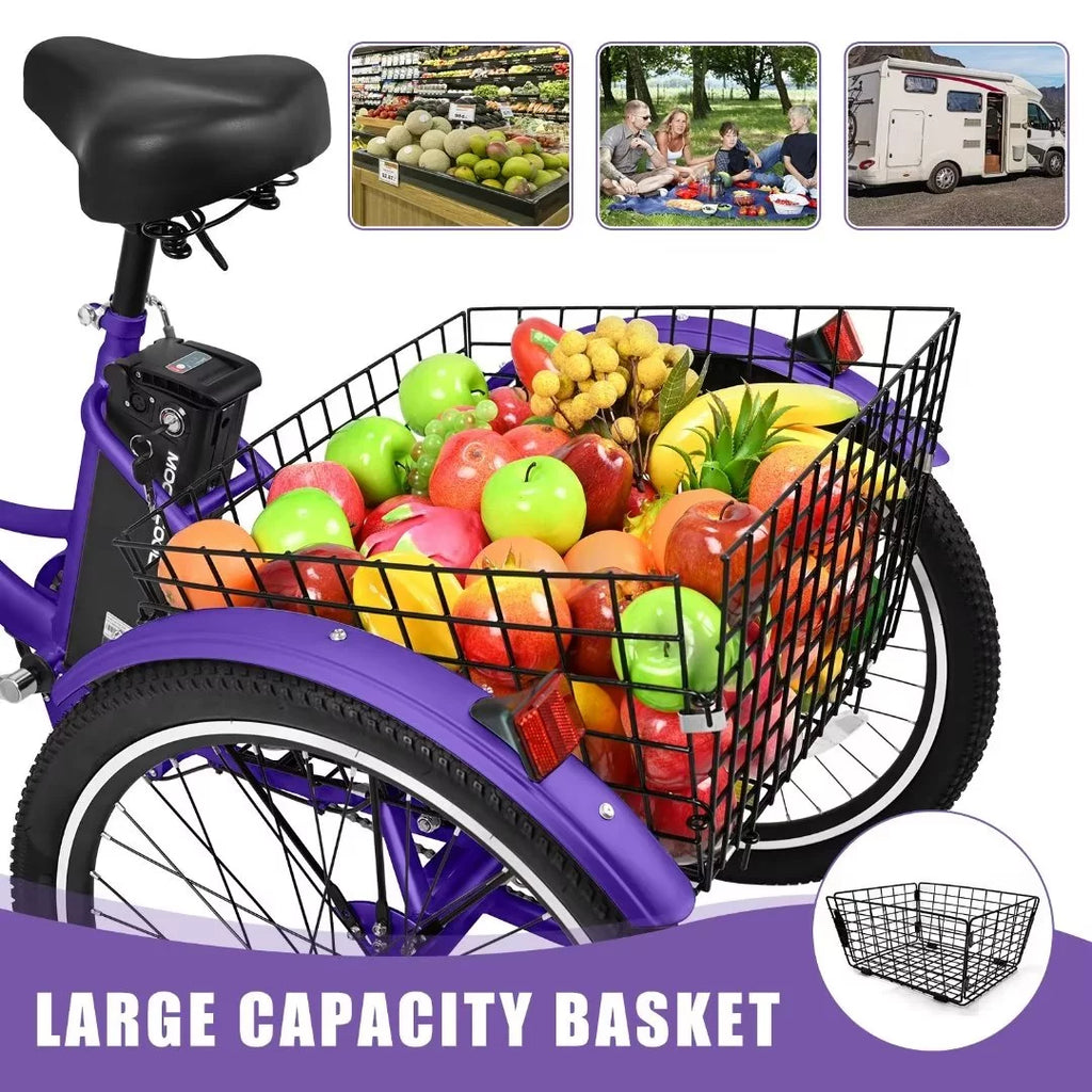 3 Wheel 500W Electric Trike B284017