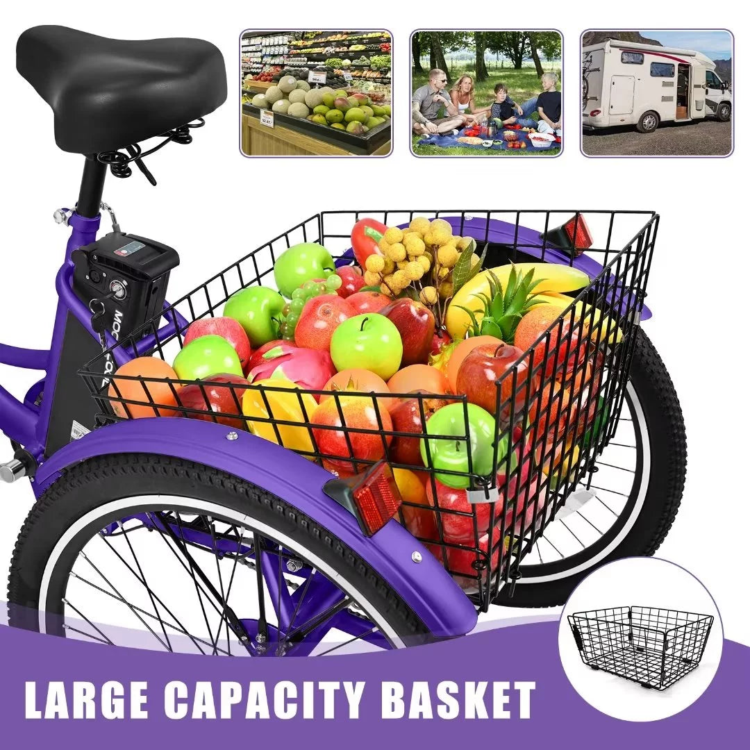 3 Wheel 500W Electric Trike B284017