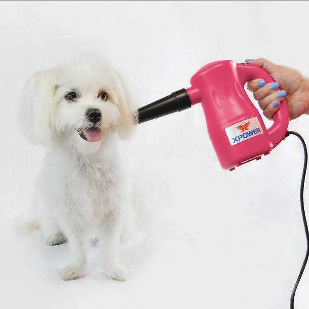 Multipurpose Pet Dryer H56422