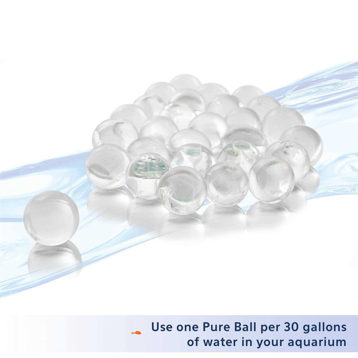 Bacteria Supplement K40673