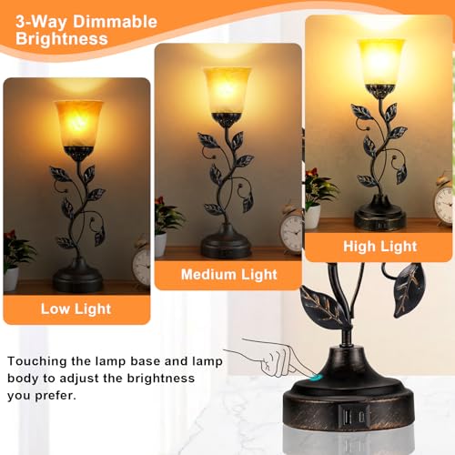 Touch Table Lamp with USB Charging Ports 3 Way Dimmable Amber Glass Lampshade P598