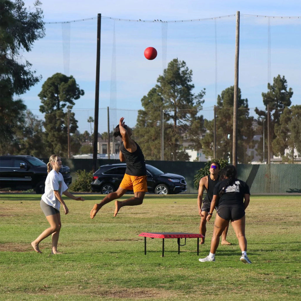 Portable Boardball Set with Board, Volleyball, & Hand Pump D885371