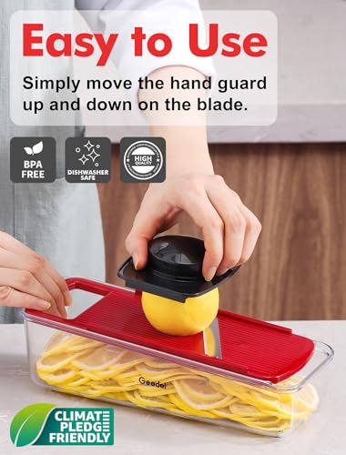 Mandoline Vegetable Slicer J43933