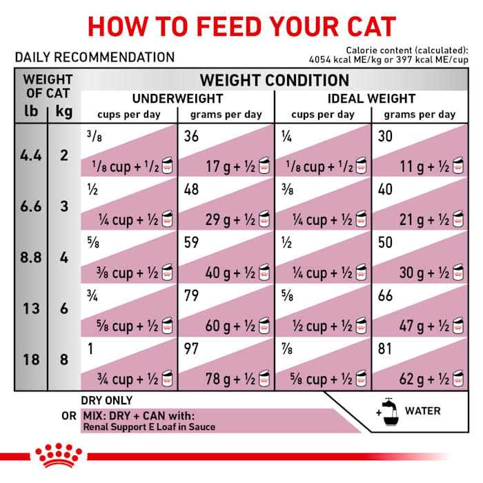 Adult Dry Cat Food G2987
