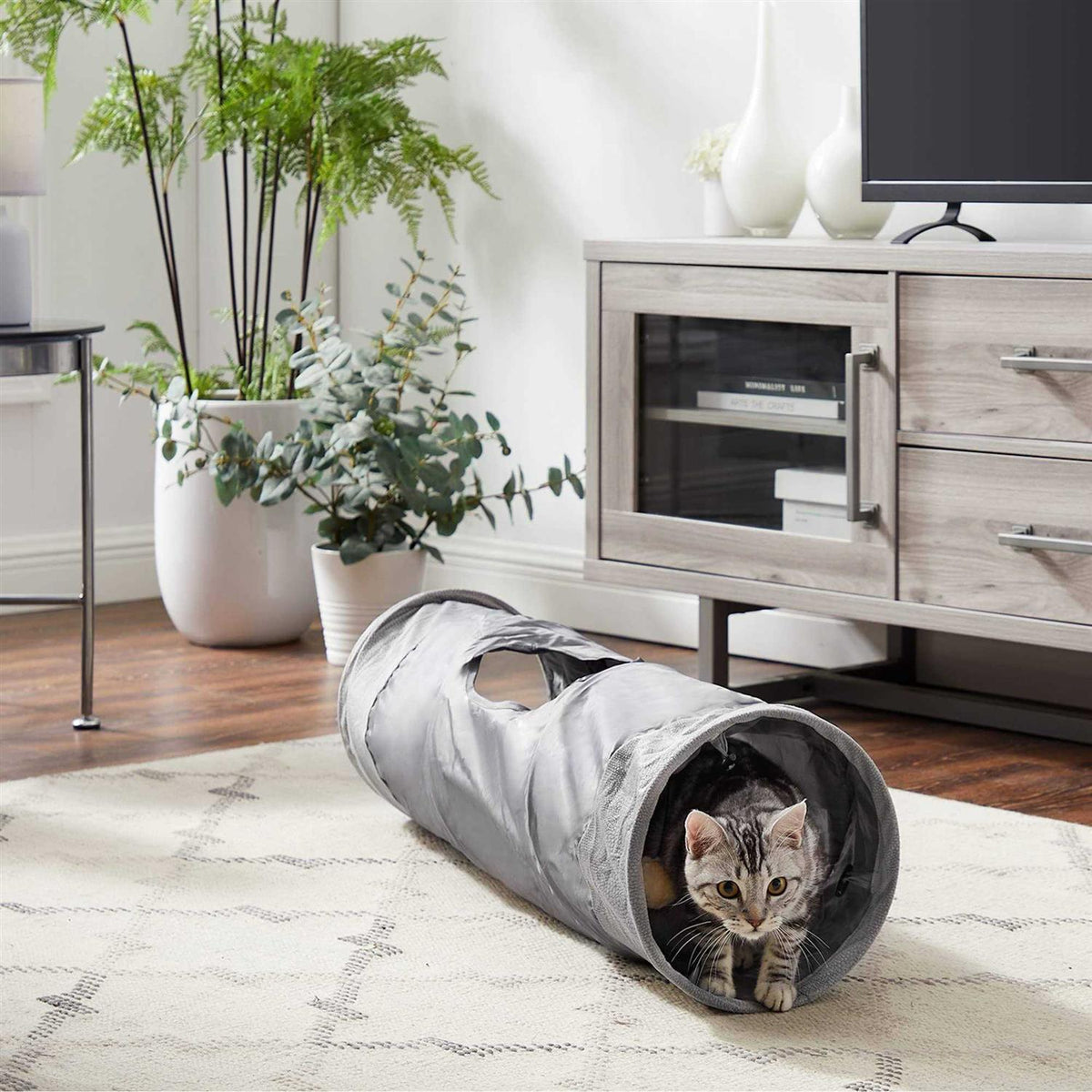 Cat Tunnel X210277