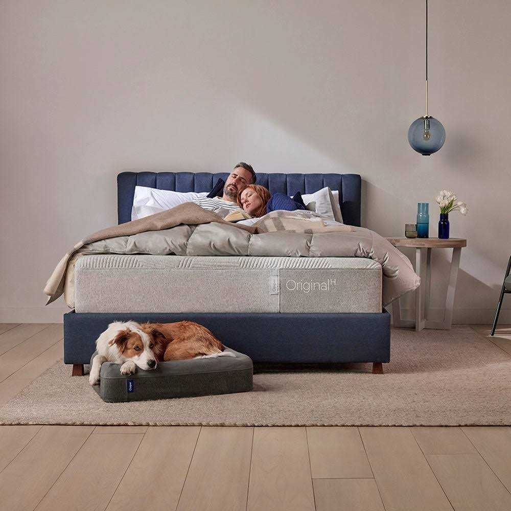 Dog Bed Y144642