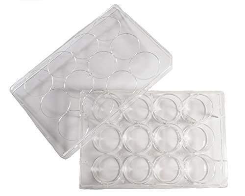 12 Well Non-Treated Sterile Flat Tissue Culture Plate H298