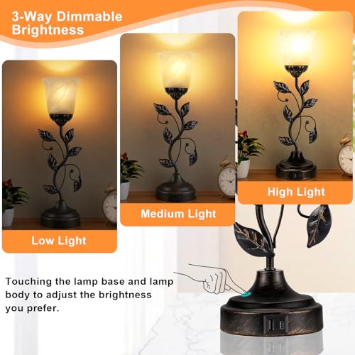 Touch Table Lamp with USB Charging Ports 3 Way Dimmable Amber Glass Lampshade P598
