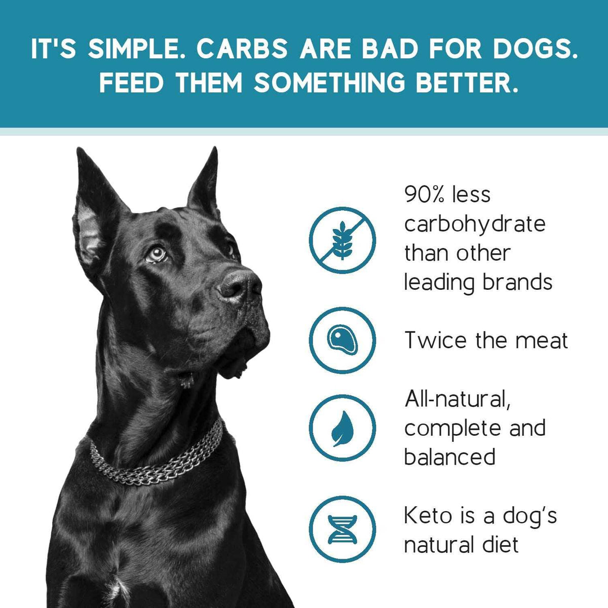 Chicken Recipe Adult Dry Dog Food Low Carb High Protein X848920