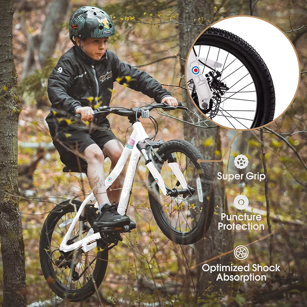 20 inch 7 Speed Kids Bicycle W91256