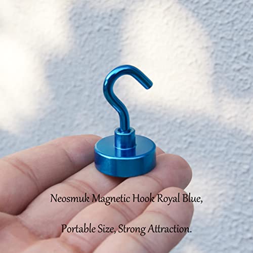 Magnetic Hooks 30lb Heavy Duty with Hook Pack of 10 U813