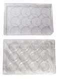 12 Well Non-Treated Sterile Flat Tissue Culture Plate H298