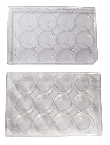 12 Well Non-Treated Sterile Flat Tissue Culture Plate H298