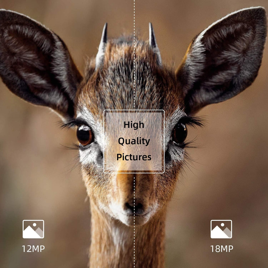 2 Pack 18MP 1080P Trail Game Camera with Night Vision K485165