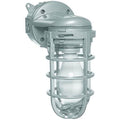 Aluminum Cage Wall Mount Light V94146