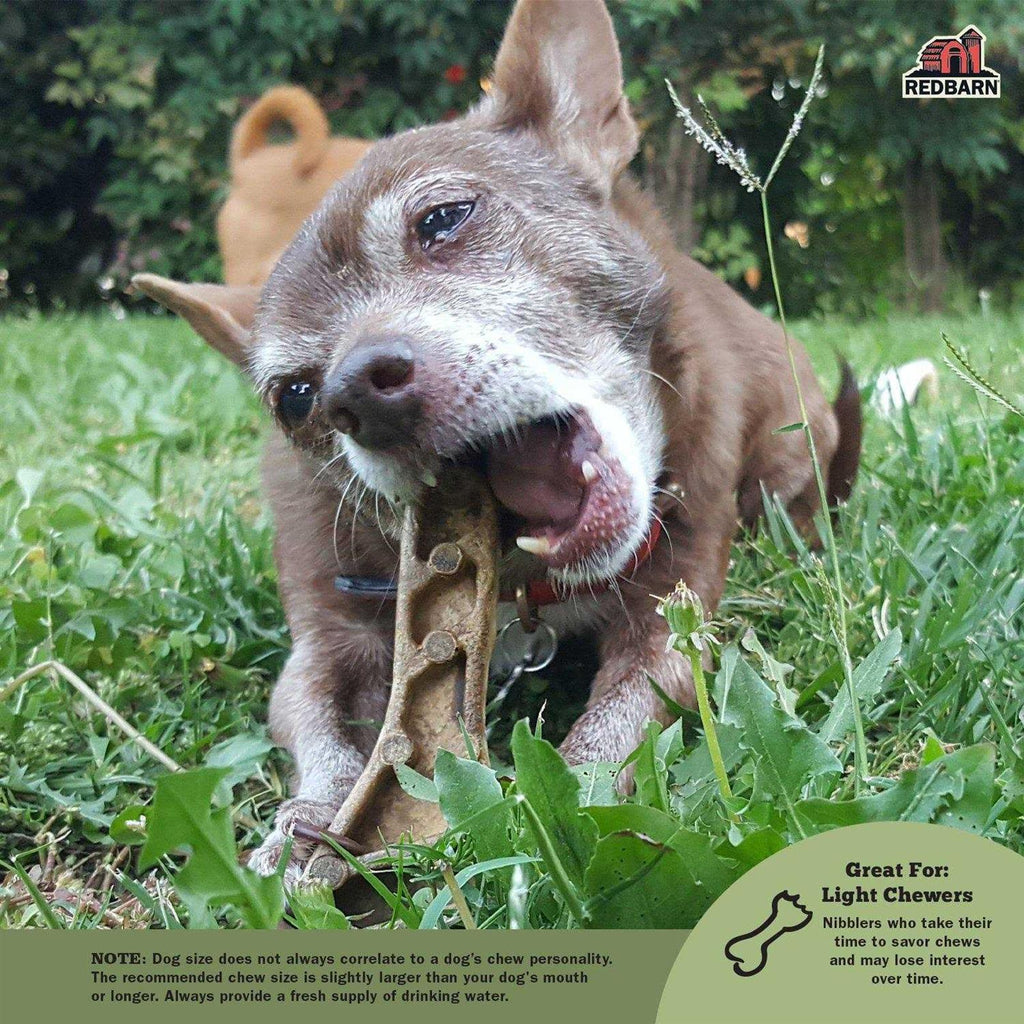 Dental Dog Chew P6740